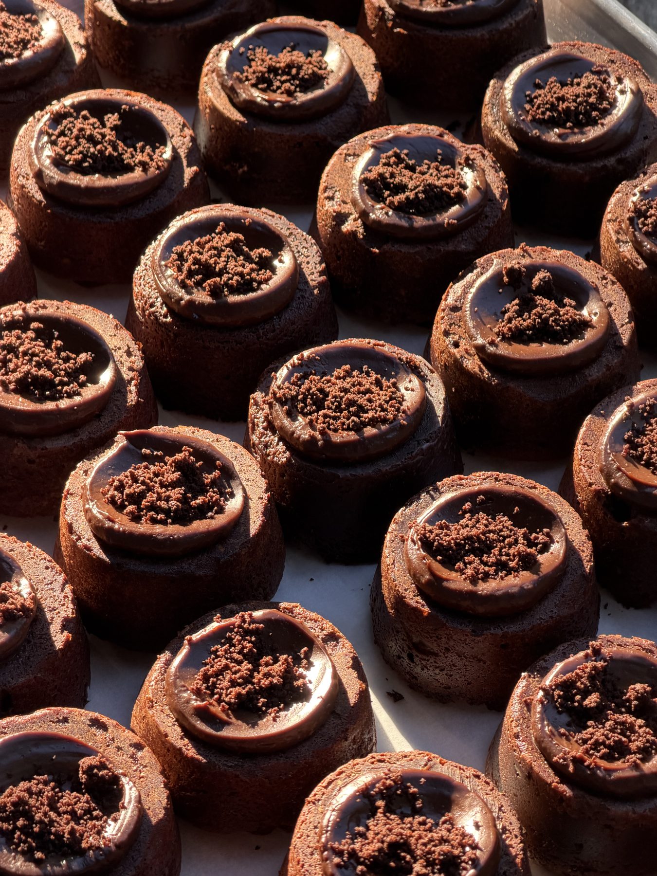 Postres de chocolate con luz de tarde